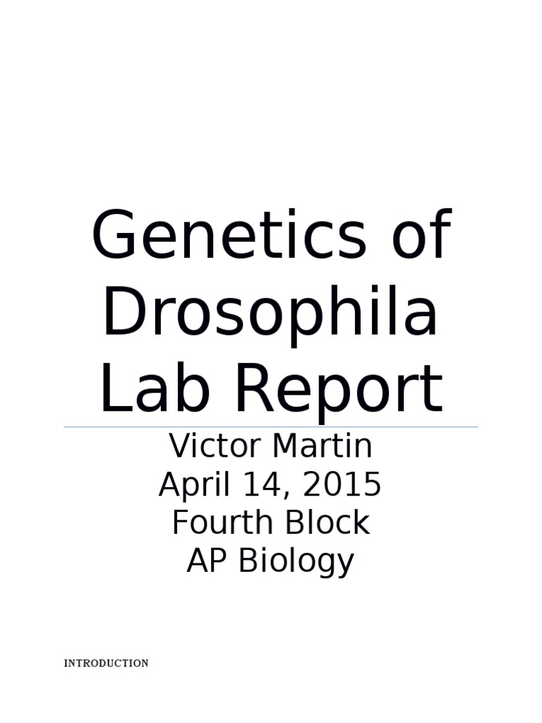 drosophila melanogaster lab report